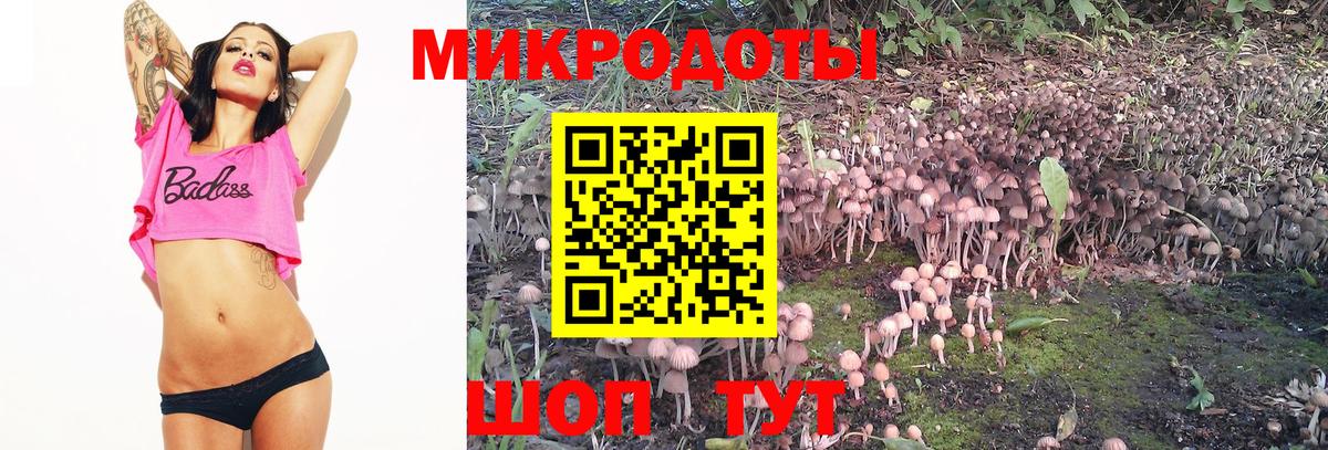 Галлюциногенные грибы MAGIC MUSHROOMS Осинники