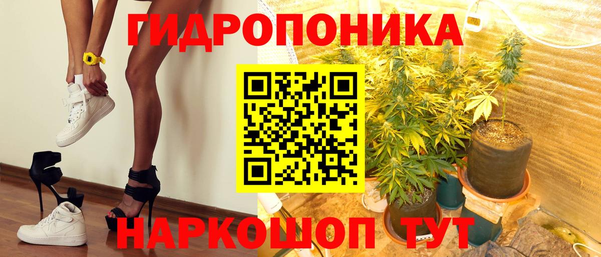 Бошки Шишки LSD WEED  Вход с VPN  Осинники  МАРИХУАНА Bruce Banner  Марихуана семена  МАРИХУАНА SATIVA & INDICA 